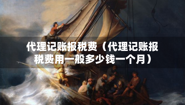 代理記賬報稅費（代理記賬報稅費用一般多少錢一個月）