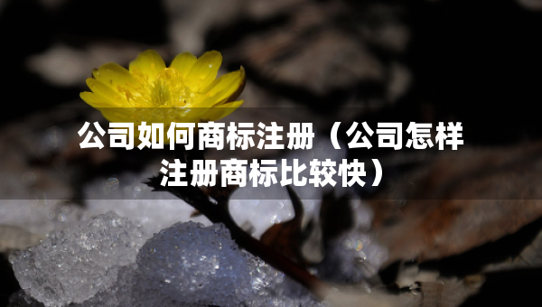 公司如何商標注冊（公司怎樣注冊商標比較快）