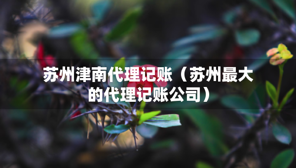 蘇州津南代理記賬（蘇州最大的代理記賬公司）