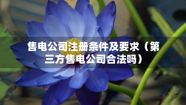 售電公司注冊(cè)條件及要求（第三方售電公司合法嗎）