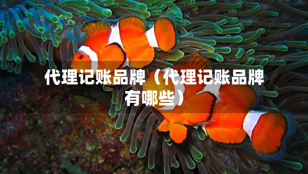 代理記賬品牌（代理記賬品牌有哪些）