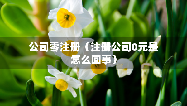 公司零注冊（注冊公司0元是怎么回事）