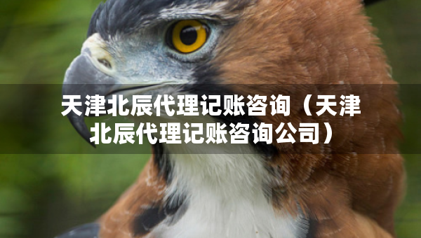 天津北辰代理記賬咨詢（天津北辰代理記賬咨詢公司）