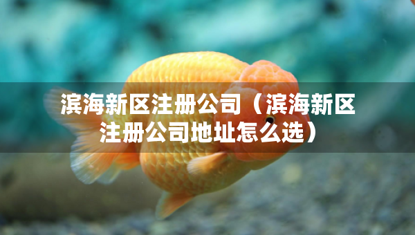 濱海新區(qū)注冊公司（濱海新區(qū)注冊公司地址怎么選）
