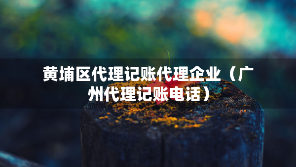 黃埔區(qū)代理記賬代理企業(yè)（廣州代理記賬電話）