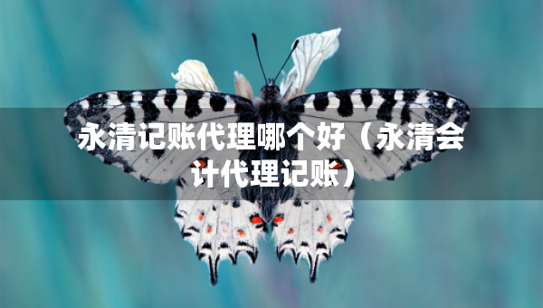 永清記賬代理哪個好（永清會計代理記賬）