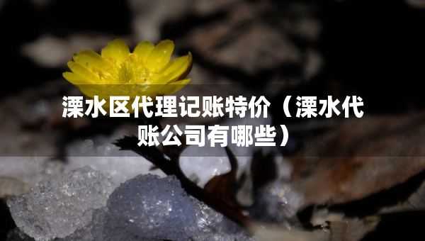 溧水區(qū)代理記賬特價(jià)（溧水代賬公司有哪些）