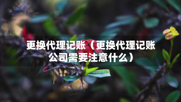 更換代理記賬（更換代理記賬公司需要注意什么）