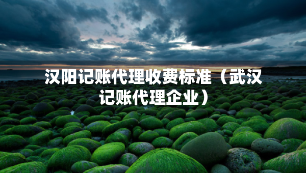 漢陽記賬代理收費(fèi)標(biāo)準(zhǔn)（武漢記賬代理企業(yè)）