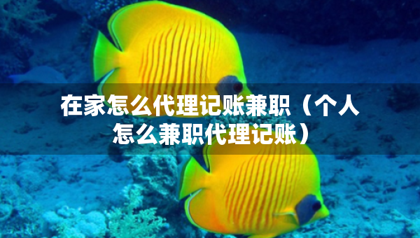 在家怎么代理記賬兼職（個(gè)人怎么兼職代理記賬）