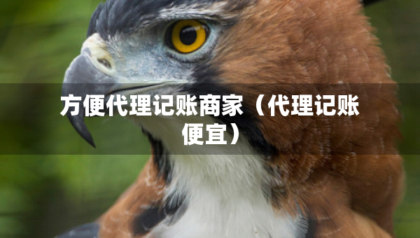 方便代理記賬商家（代理記賬便宜）