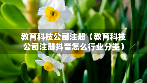 教育科技公司注冊(cè)（教育科技公司注冊(cè)抖音怎么行業(yè)分類）