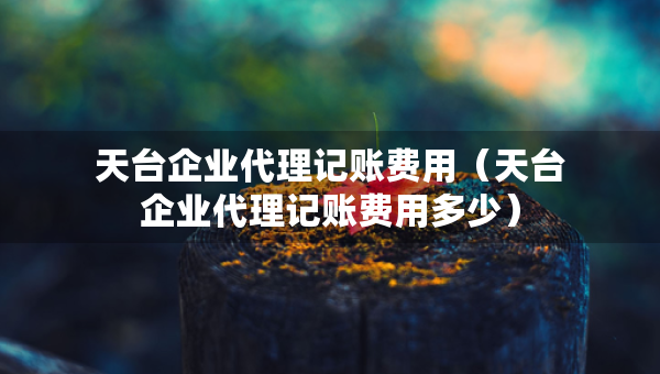 天臺企業(yè)代理記賬費用（天臺企業(yè)代理記賬費用多少）