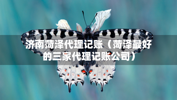 濟南菏澤代理記賬（菏澤最好的三家代理記賬公司）