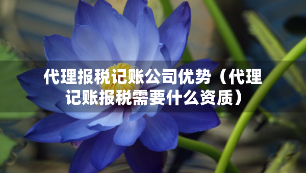 代理報稅記賬公司優(yōu)勢（代理記賬報稅需要什么資質(zhì)）