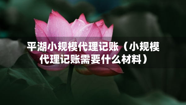 平湖小規(guī)模代理記賬（小規(guī)模代理記賬需要什么材料）