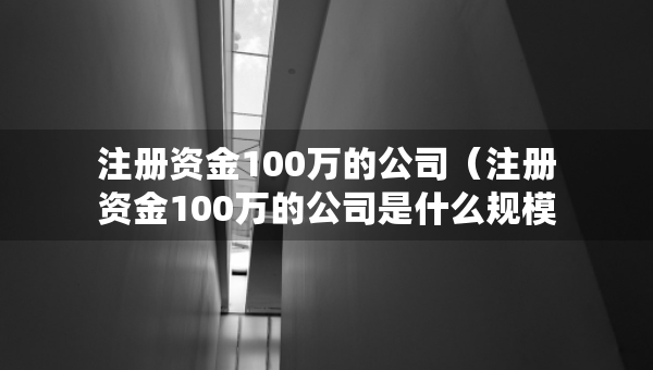 注冊(cè)資金100萬(wàn)的公司（注冊(cè)資金100萬(wàn)的公司是什么規(guī)模）