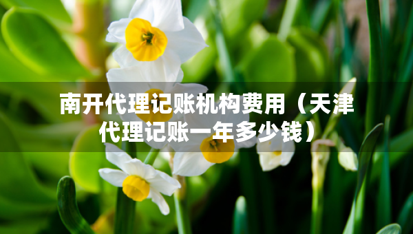 南開代理記賬機構(gòu)費用（天津代理記賬一年多少錢）