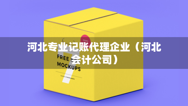 河北專業(yè)記賬代理企業(yè)（河北會(huì)計(jì)公司）