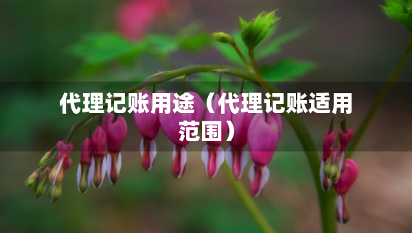 代理記賬用途（代理記賬適用范圍）