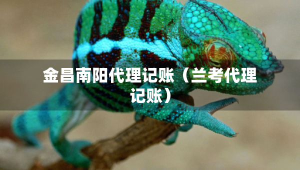 金昌南陽代理記賬（蘭考代理記賬）