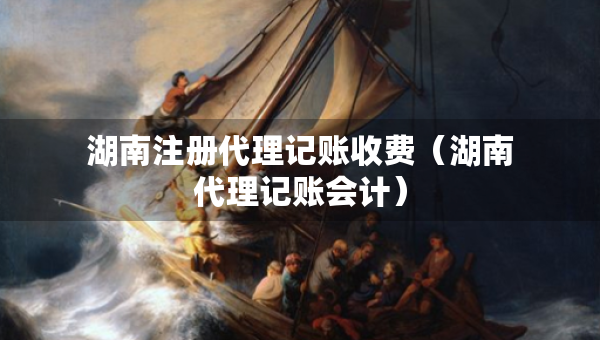 湖南注冊代理記賬收費(fèi)（湖南代理記賬會計(jì)）
