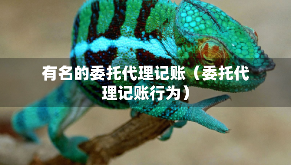 有名的委托代理記賬（委托代理記賬行為）