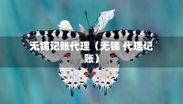 無錫記賬代理（無錫 代理記賬）