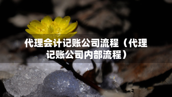 代理會計(jì)記賬公司流程（代理記賬公司內(nèi)部流程）