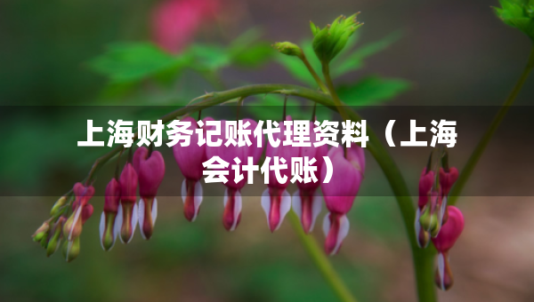 上海財務記賬代理資料（上海會計代賬）