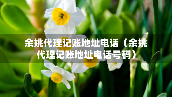 余姚代理記賬地址電話（余姚代理記賬地址電話號碼）