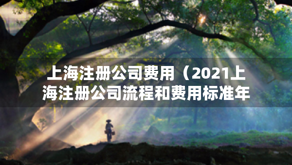上海注冊公司費用（2021上海注冊公司流程和費用標準年）