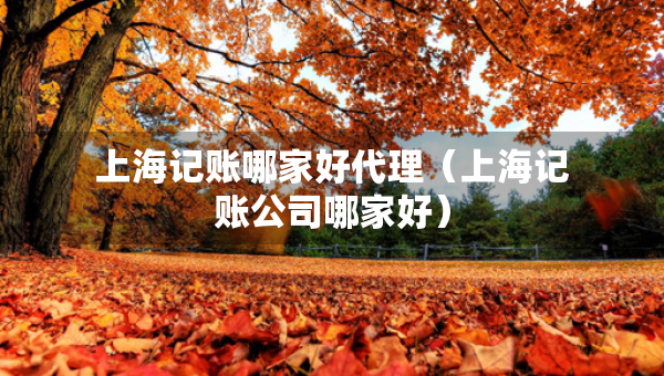 上海記賬哪家好代理（上海記賬公司哪家好）