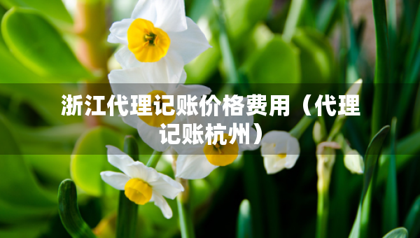 浙江代理記賬價(jià)格費(fèi)用（代理記賬杭州）