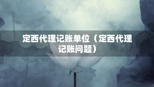 定西代理記賬單位（定西代理記賬問題）