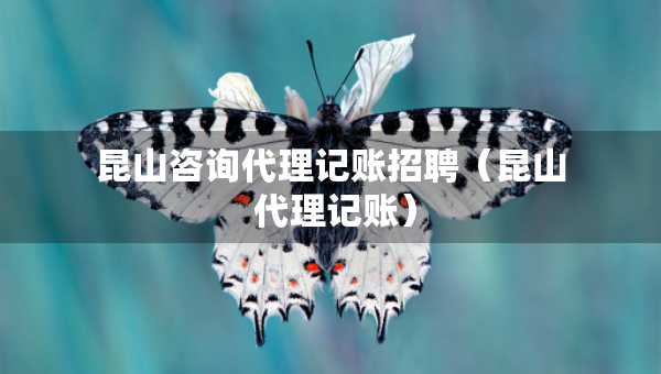 昆山咨詢(xún)代理記賬招聘（昆山 代理記賬）