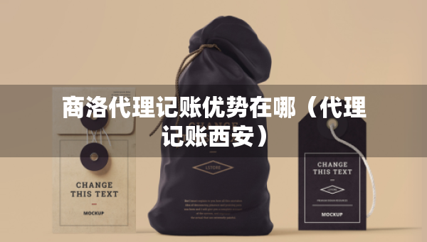 商洛代理記賬優(yōu)勢(shì)在哪（代理記賬西安）