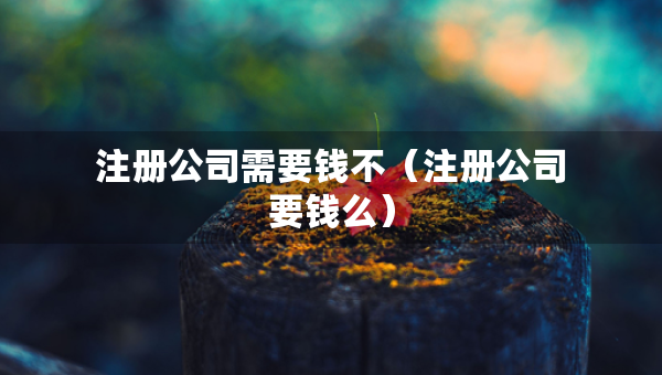 注冊公司需要錢不（注冊公司要錢么）