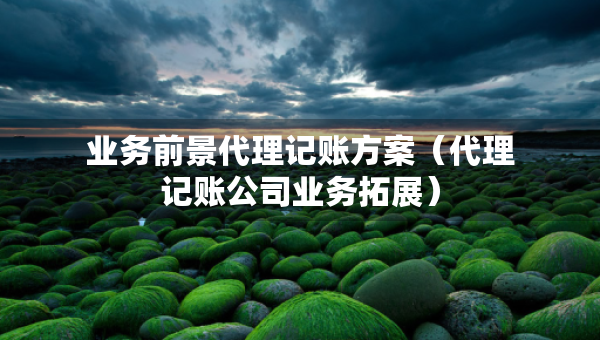 業(yè)務(wù)前景代理記賬方案（代理記賬公司業(yè)務(wù)拓展）