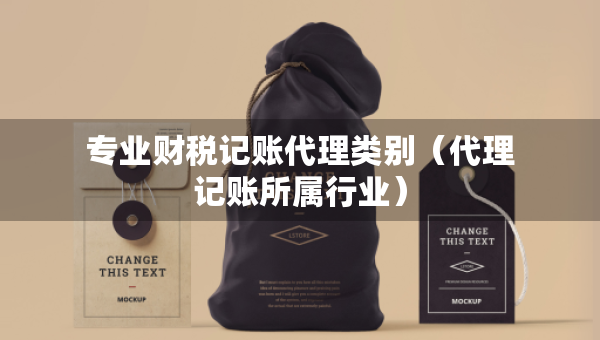 專業(yè)財稅記賬代理類別（代理記賬所屬行業(yè)）
