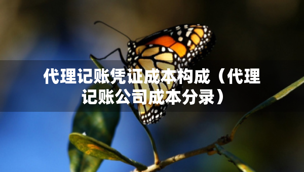 代理記賬憑證成本構(gòu)成（代理記賬公司成本分錄）