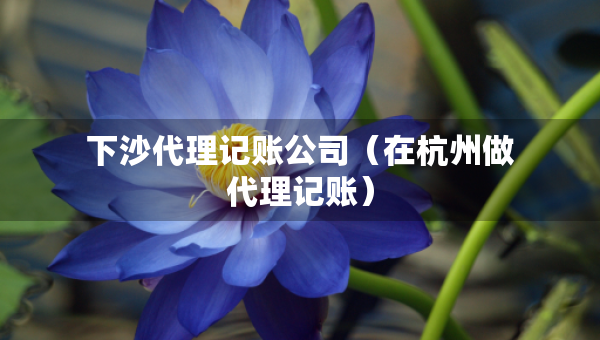 下沙代理記賬公司（在杭州做代理記賬）