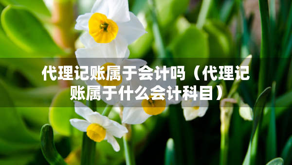 代理記賬屬于會(huì)計(jì)嗎（代理記賬屬于什么會(huì)計(jì)科目）