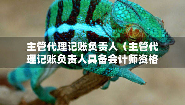 主管代理記賬負(fù)責(zé)人（主管代理記賬負(fù)責(zé)人具備會(huì)計(jì)師資格是哪個(gè)證）