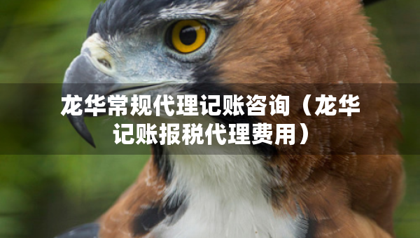 龍華常規(guī)代理記賬咨詢（龍華記賬報稅代理費用）