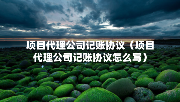 項目代理公司記賬協(xié)議（項目代理公司記賬協(xié)議怎么寫）