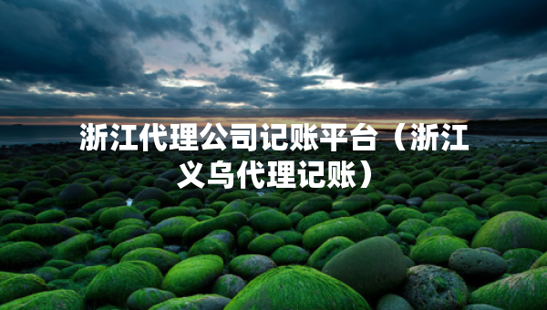 浙江代理公司記賬平臺（浙江義烏代理記賬）