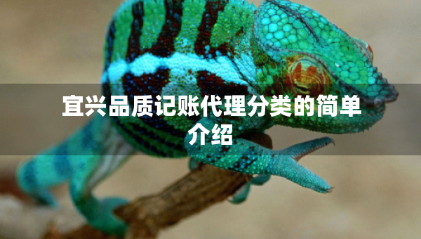 宜興品質(zhì)記賬代理分類的簡單介紹