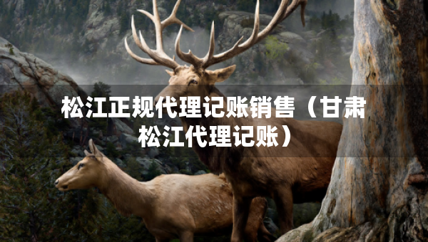 松江正規(guī)代理記賬銷售（甘肅松江代理記賬）