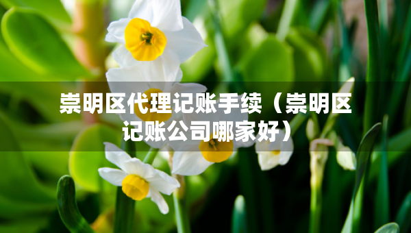 崇明區(qū)代理記賬手續(xù)（崇明區(qū)記賬公司哪家好）
